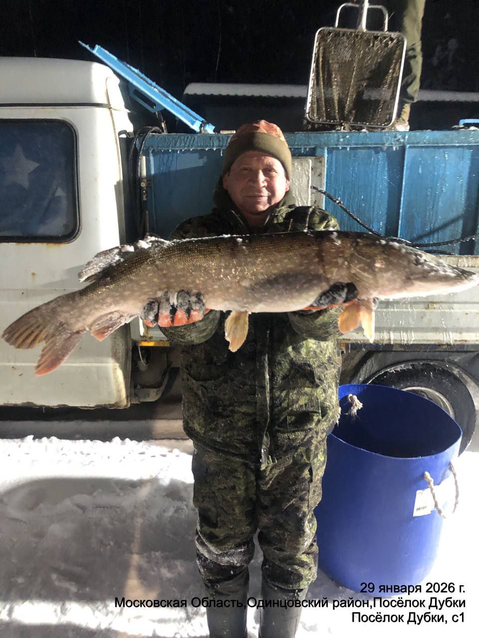 Зимнее зарыбление щукой