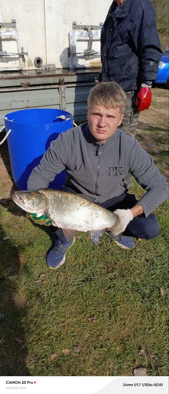 Редкий гость. Жерех