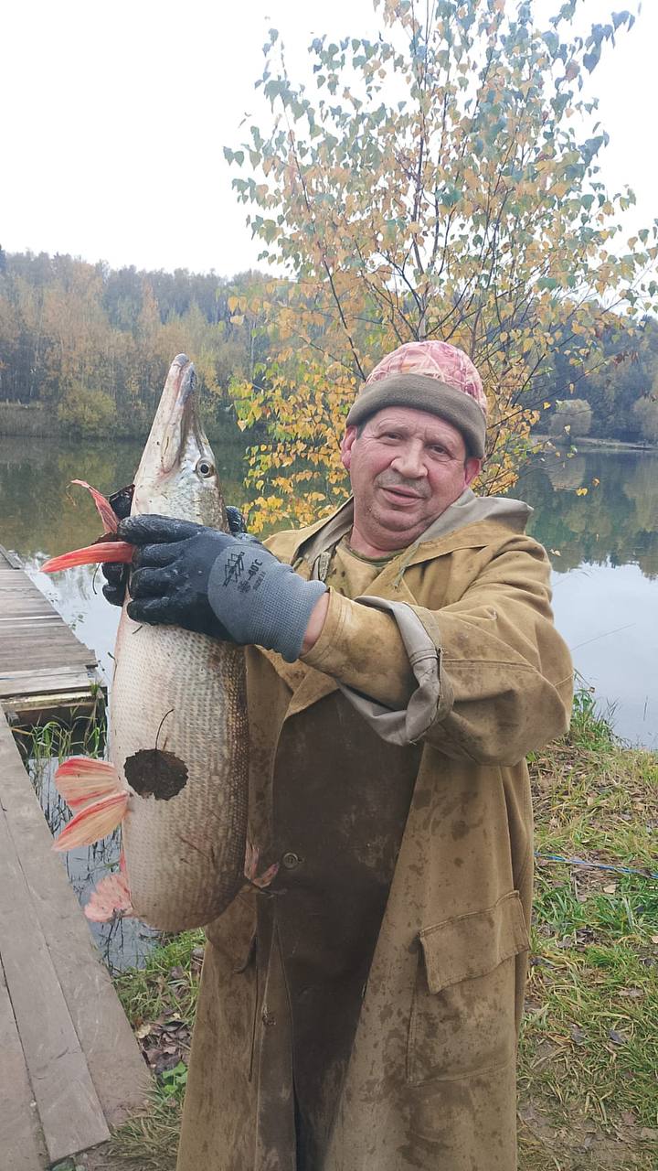 Пополнение Щукой