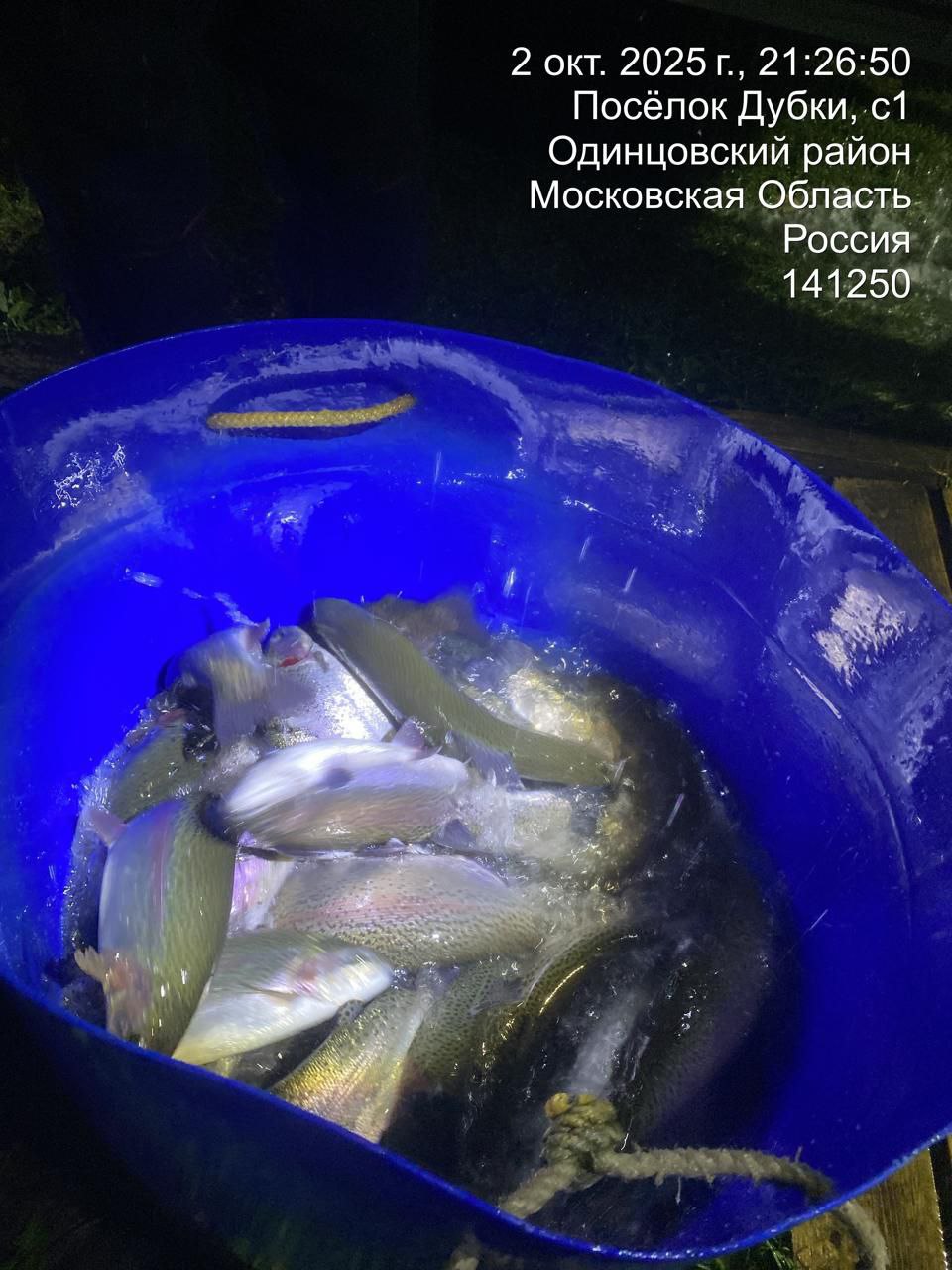 Долгожданная форель