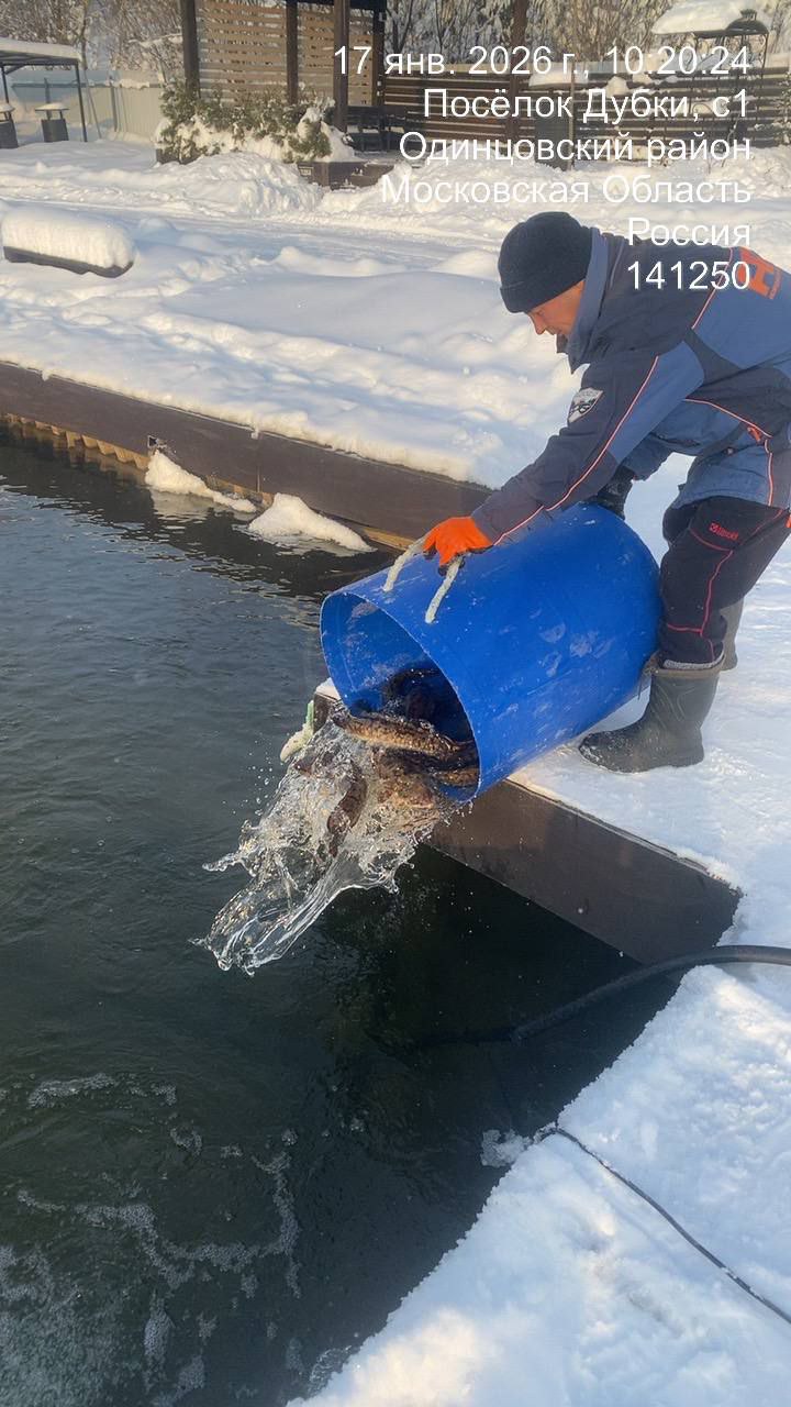 Приехал долгожданный НАЛИМ!!!