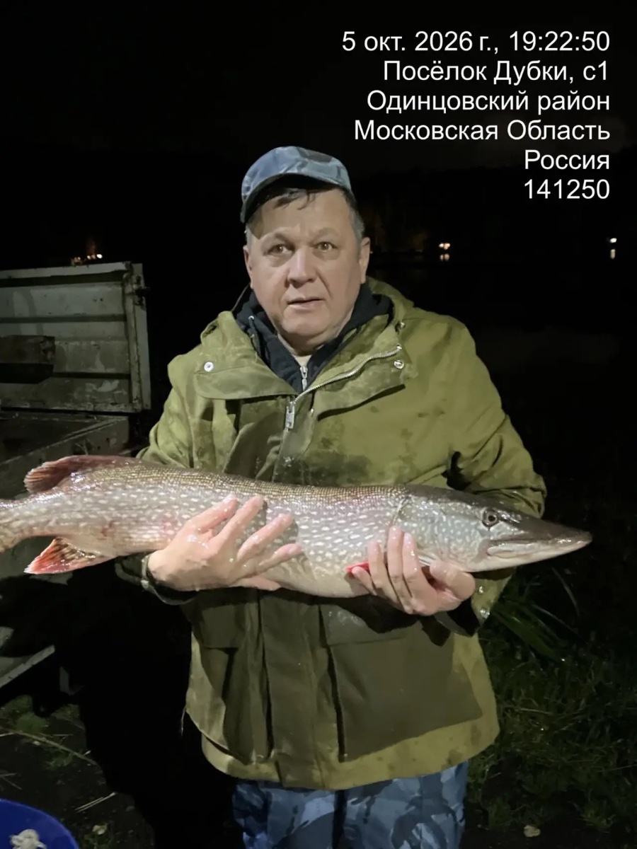 Зарыбление Щукой
