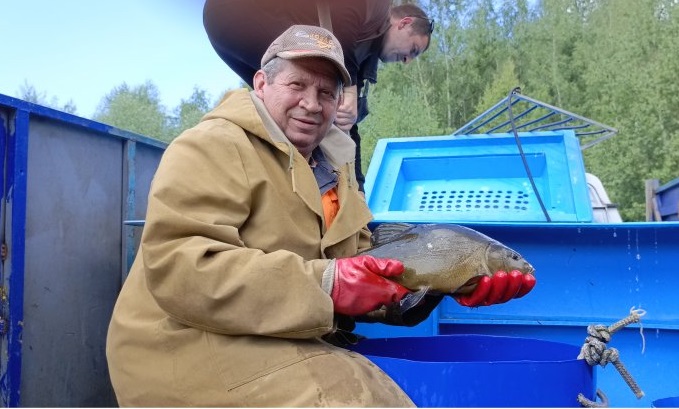 Зарыбление Линем. Небольшое
