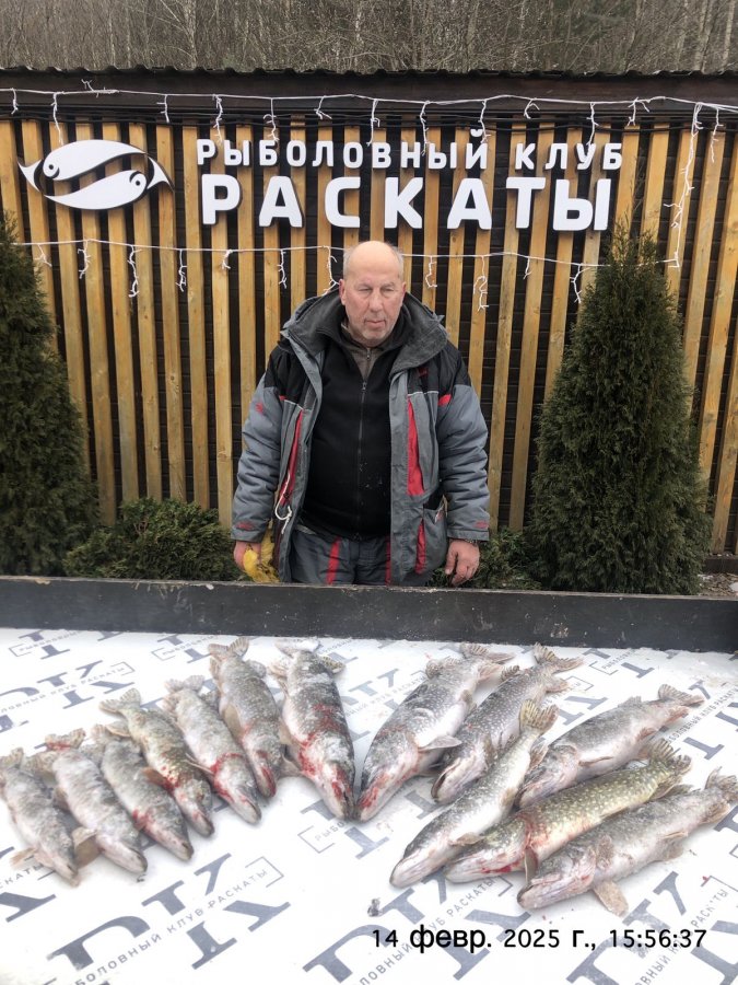 Новый рекорд по щуке зимой