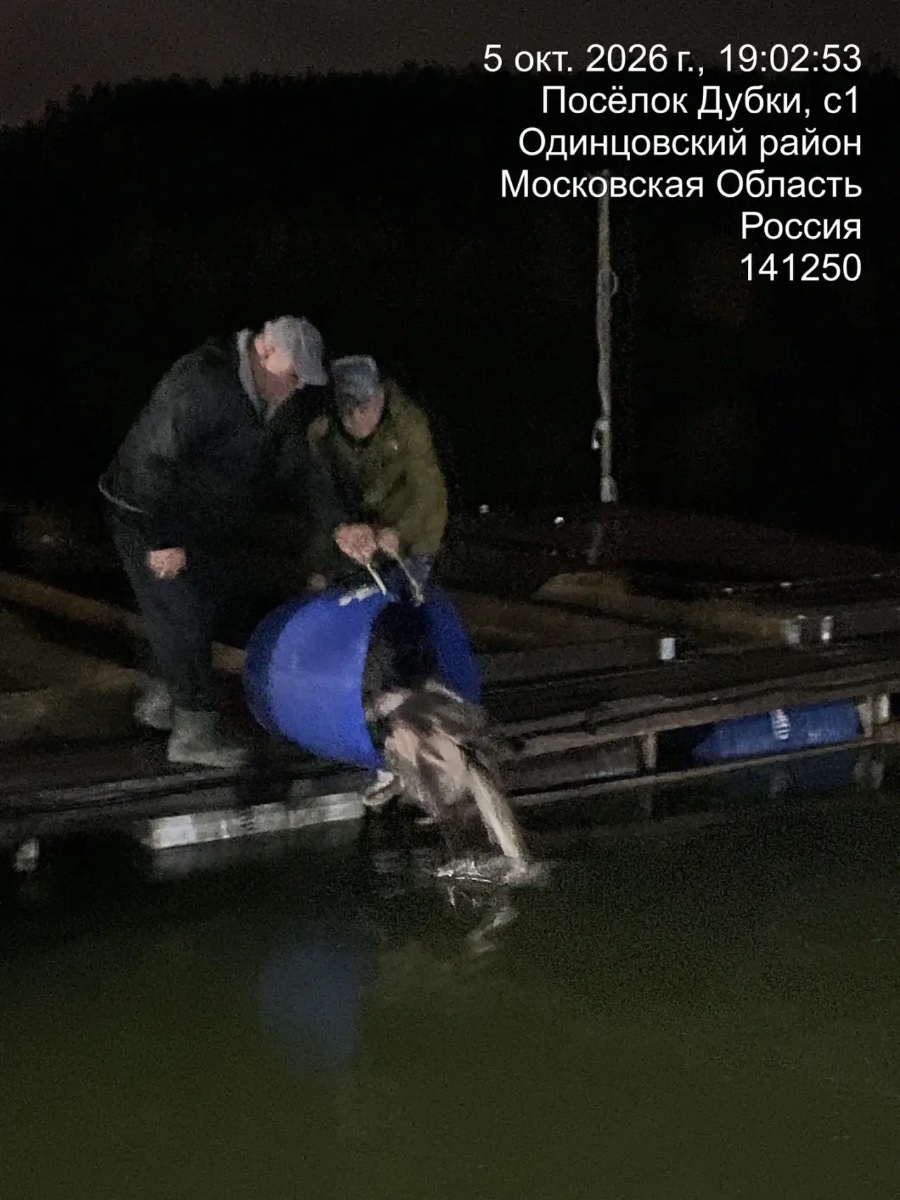 Зарыбление Щукой